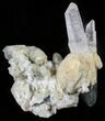 Himalayan Quartz Crystal Cluster with Chlorite Inclusions #63036-1